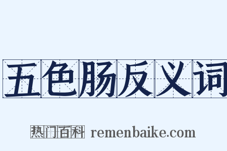 五色肠反义词是什么意思的图片